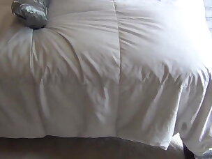 Busty Porn Videos