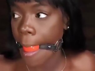 Bdsm Porn Videos